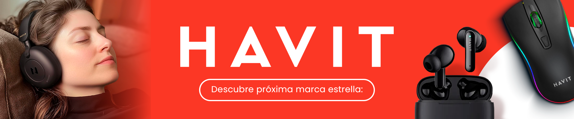 banner Havit 2